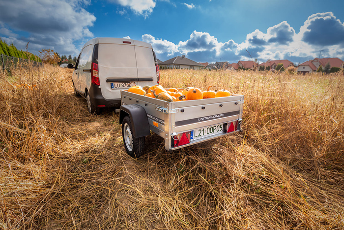 Kleiner Anhänger Garden Trailer 150 KIPP 150x106 cm 750kg